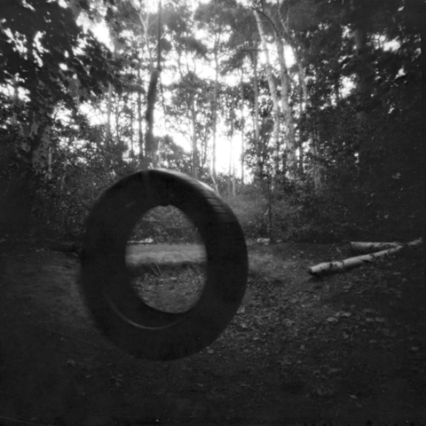 Old tyre hanging from a tree in a slight clearing in the woods