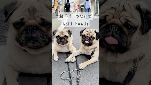 [PUG] けっこう 仲良かったりする (they are basically good friends)