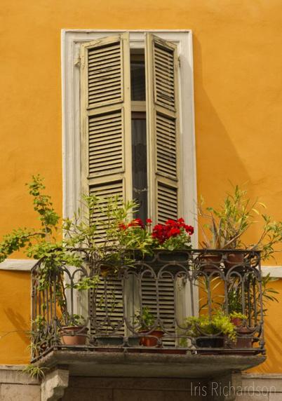 Window,balcony with yellow wall in Cremona Italy