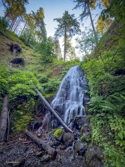A picturesque waterfall cascades down a lush, green forest hillside surrounded by tall trees and foliage.