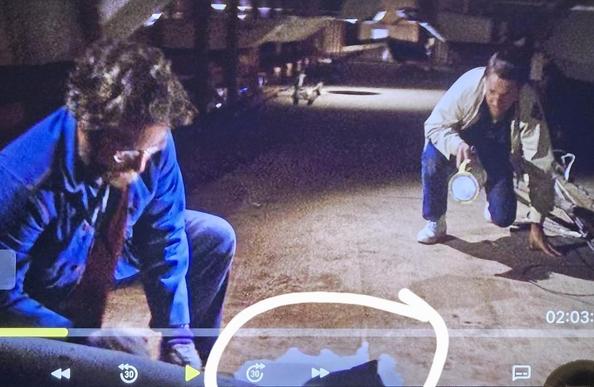 Richard Dreyfus is cutting open the shark's stomach and seen on the ground pouring out is a milky white substance. Schneider kneels nearby one hand on the ground to balance himself.