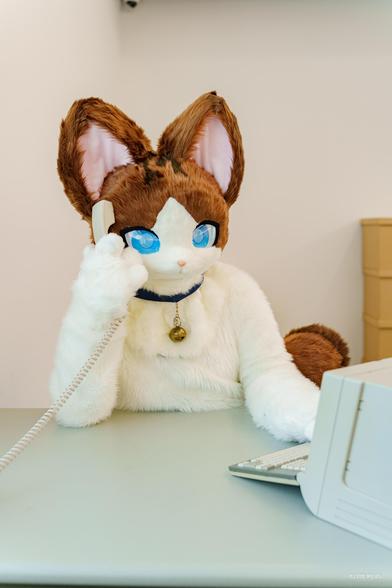 📷 : @ELPL_Fur