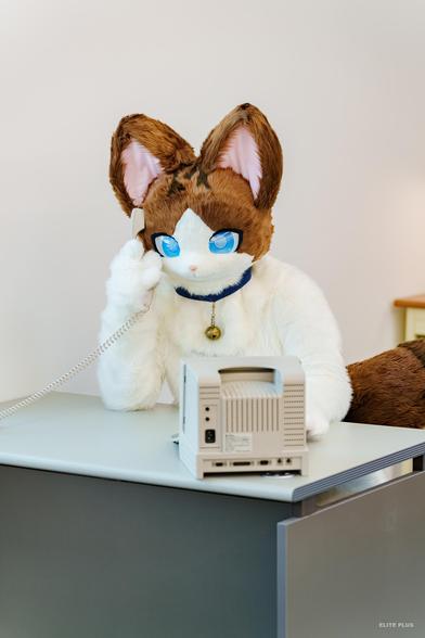 📷 : @ELPL_Fur
