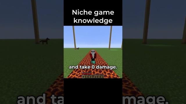 Minecraft Niche Game Knowledge