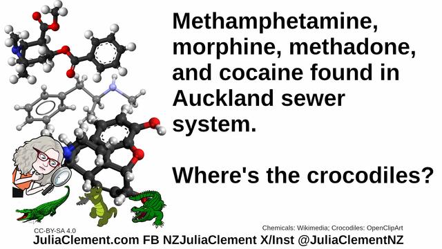 Chemical diagrammes for some common illegal drugs. Julia examines some crocodiles. Text: Methamphetamine, morphine, methadone, and cocaine found in Auckland sewer system. Where's the crocodiles?