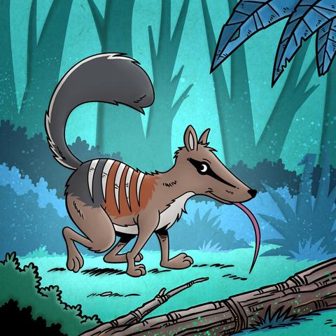 Small striped animal with long tongue and bushy tail walking on all fours through a forest.