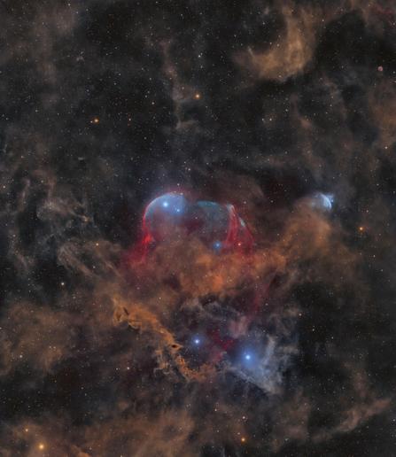Portrait of nebula and supernova remnant.