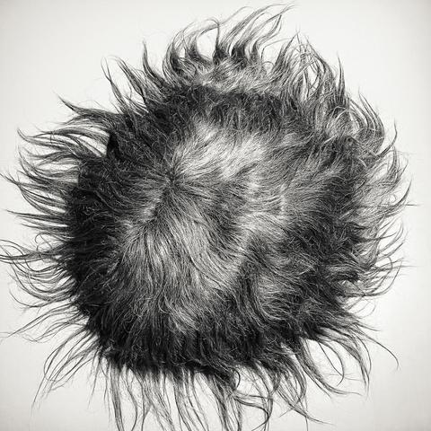 A fluffy, round tuft of hair with wild, unkempt strands, set against a light background. An art work by Anna Estarriola.