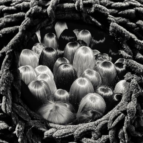 A circular view of numerous heads with diverse hairstyles, framed by dark, textured material, creating a sense of depth and curiosity. An art work by Anna Estarriola.