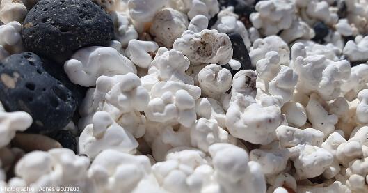 Détail des graviers et mini-galets de maërl et de basalte de la plage Mejillòn (ile de Fuerteventura, Canaries). Certains graviers calcaires blancs ont des formes rappelant des pop-corns.