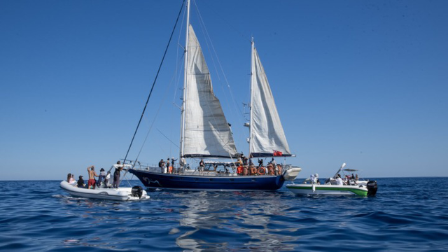 Madleen, boat carrying aid to Gaza, attacked by Israel