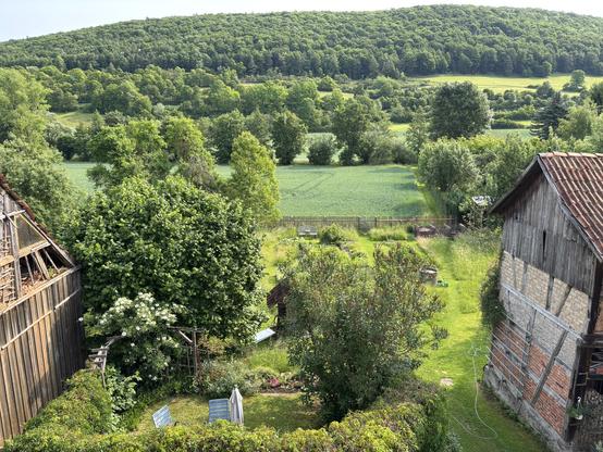 Blick auf Garten und Wald