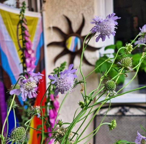 Die Progressive Flagge in bunter Blumengesellschaft