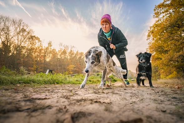 Foto von zwei Hunden und einem Menschen, der einen merkwürdig konzentrierten Gesichtsausdruck hat. Das bin ich. ;) Mette, der vordere Hund, scheint auf dem Sprung, drückt sich mit den Hinterbeinen fest ab. Bounty, der schwarze Hund, steht neben mir und schaut Richtung Kamera. Das Bild entstand bei Sonnenuntergang, entsprechend golden ist die Bildstimmung. Ich trage eine pinke Mütze, was das ganze Bild insgesamt sehr farbenfroh macht.