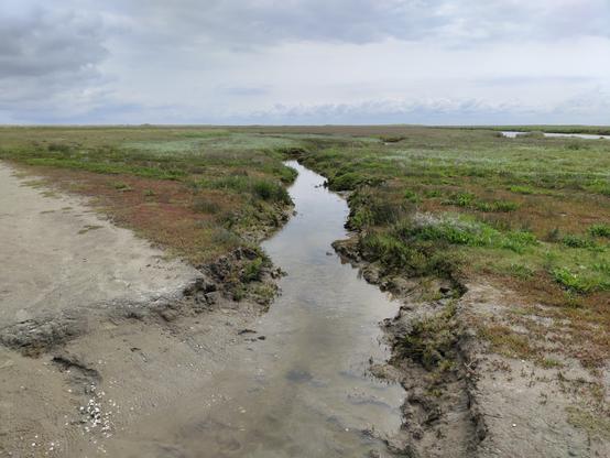 Ein schmaler Bach im Osten der Insel Borkum.