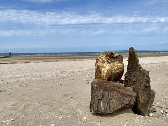 Étendue de plage de sable saupoudrée de coquillages blancs écrasés, avec au loin la mer sous un ciel bleu rayé de longs et fins nuages. Au premier plan un gros morceau de tronc d’arbre malmené se dresse dans le sable. Au fond à gauche un sémaphore signale l’entrée du port (qu’on ne voit pas).