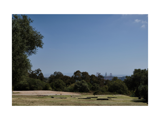 lisbons ponte de 25 abril bridge in far background embedded in green structures and lawn of monsanto parque