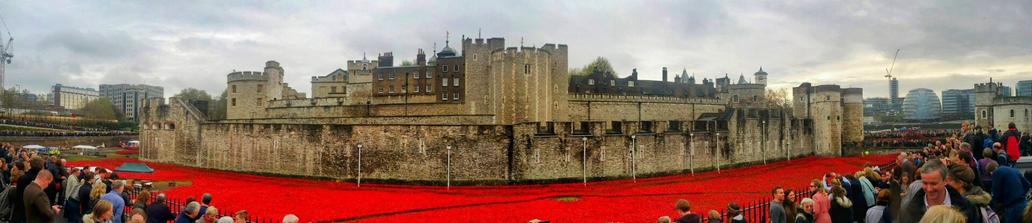 A wide panoramic shot captures the "Blood Swept Lands and Seas of Red" poppy installation at the Tower of London. Thousands of vibrant red ceramic poppies fill the expansive dry moat, creating a striking field of colour that curves around the ancient stone walls of the Tower. Large crowds of visitors are visible on both the left and right sides of the image, observing the poignant display. The sky above is overcast, and in the distance, parts of the London skyline with modern buildings can be seen.