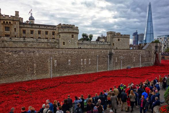 A striking high-angle shot captures the "Blood Swept Lands and Seas of Red" poppy installation at the Tower of London. Thousands of ceramic poppies flood the dry moat around the historic stone fortress, creating a vibrant red sea that contrasts with the grey walls of the Tower. A large crowd of people stands at the foreground and along the perimeter, observing the poppies. In the background, the modern, tapering glass facade of The Shard pierces the cloudy, overcast sky.