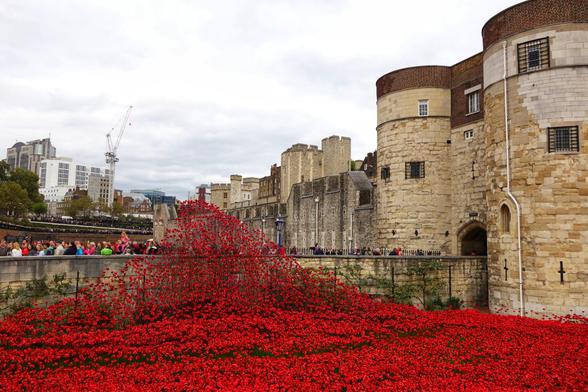 A vibrant, eye-level shot captures the "Blood Swept Lands and Seas of Red" poppy installation at the Tower of London. Thousands of ceramic poppies, symbolising fallen soldiers, form a striking cascade into the dry moat and filling the foreground with a sea of intense red. The historical stone walls and towers of the Tower of London stand prominently under a cloudy sky. In the upper left, a crowd of onlookers observes the installation, and in the distance, modern city buildings and a construction crane are visible, juxtaposing the historic site with contemporary London.