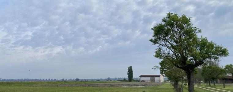 Wide view at the Agrilocanda Val Campotto. A line of trees stretches towards and barn and the horizon, with massed blue-grey clouds in the sky.