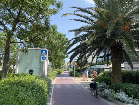 Bikeway along the beach