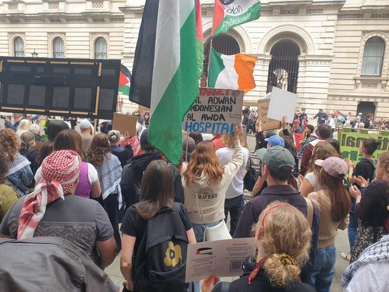 A city street outside government buildings is crowded with demonstrators holding placards and Palestinian flags