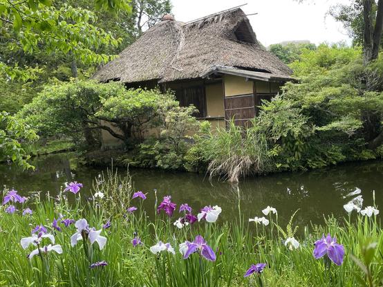 Teahouse and irises