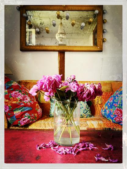 Bouquet de pivoines fanées avec en arrière 2 coussins