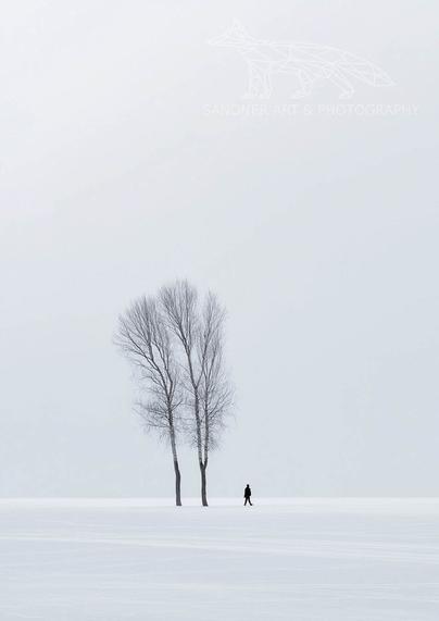 A minimalist winter landscape in Germany featuring a small cluster of tall, leafless trees standing alone on a snow-covered field. The trees are arranged tightly together, their dark trunks and fine branches contrasting starkly against the vast, white foreground and pale, overcast sky. The composition emphasizes negative space and the isolation of the grove, evoking a quiet, contemplative atmosphere.