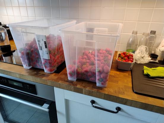 Eine Küchenzeile auf der zwei große IKEA Kisten stehen mit recht vielen Erdbeeren drin