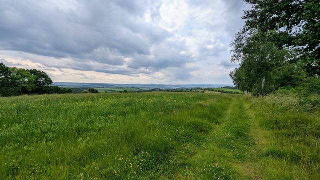 Grüner Feldweg (gemäht) neben einer Wiese. Dunkle Regenwolken am Himmel