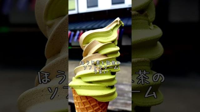 【静岡】高速バスDE弾丸ツアーのすゝめ２【旅行】#shorts