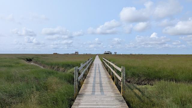 Ein Holzbohlen-Weg führt durch die Salzwiesen zu den im Hintergrund zu sehenden Pfahlbauten. Der Himmel ist blau mit einigen weißen Wolken.