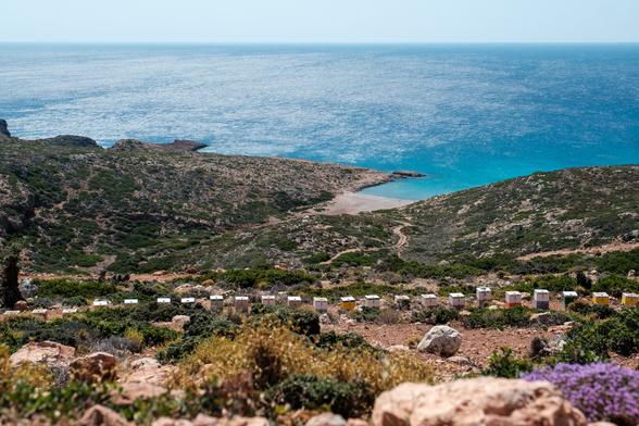 Beehives dot a rocky hillside overlooking the turquoise sea in Παλαίκαστρο, Crete.