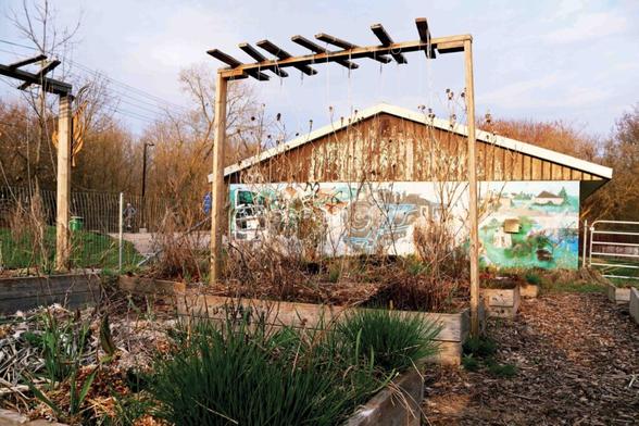 Photo of an outdoor community garden, including a shed featuring a nature-themed, painted mural and trellised flower beds filled with deceased plants.