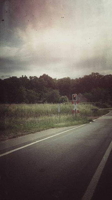 A locked railroad crossing. A house and a forest close to a field. Cloudy sky.