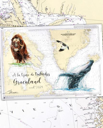 Carte marine du Groenland peinte à l'aquarelle. Il y a 3 animaux, une baleine à bosse, un boeuf musqué et un bruant des neiges.