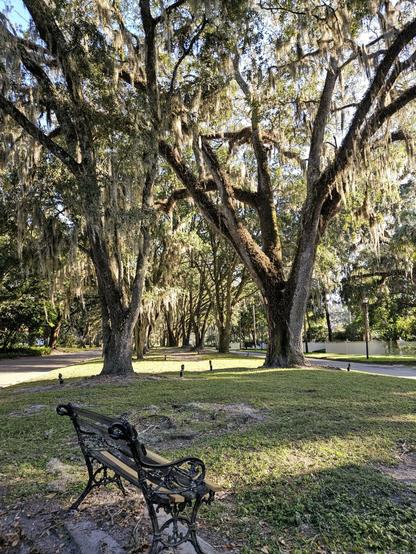 View of a small neighborhood park lined with old majestic oak trees draped with Spanish Moss.