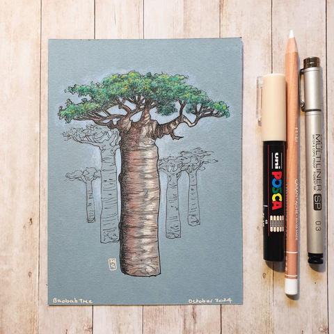 A colour drawing of A Baobab tree. Baobab grow in 32 African countries. They can live for up to 5,000 years, reach up to 30 metres high and up to an enormous 50 metres in circumference.
An original art work
Colour pencil and mixed media on acid free toned artist paper
5 by 7 inches (12.7 by 17.8 cm). This is a standard photo size in the UK and USA and should be easy to DIY frame.
Sold unframed