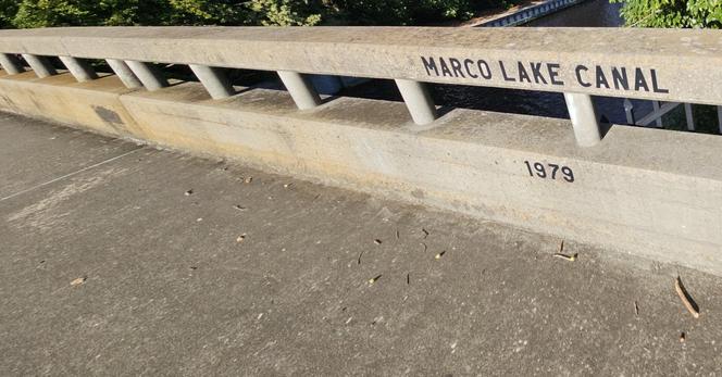 View over the sides of a small concrete bridge.