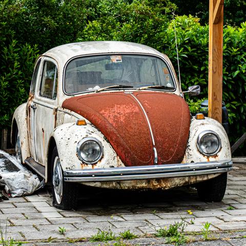 Ein alter VW Käfer, weiß mit bräunlicher Motorhaube. Das Auto ist sehr, sehr rostig und die Reifen sind platt, aber das Chrom glänzt. Hinter das Auto sind Büsche. 

An old VW Beetle, white with a brownish hood. The car is very, very rusty and the tires are flat, but the chrome shines. There are bushes behind the car.