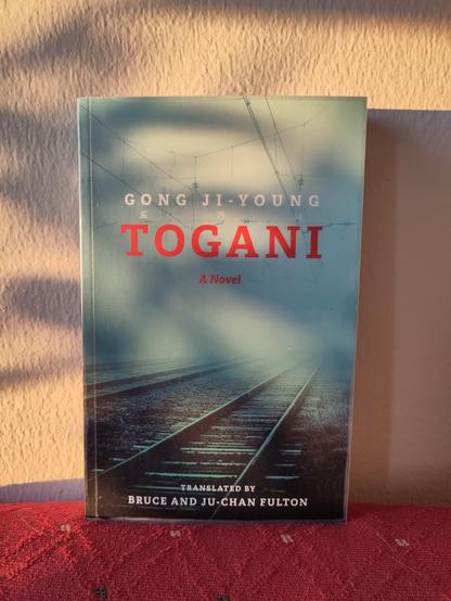 Kirjan kansikuvassa on sininen, sumuinen maisema, jossa rautatiekiskot vievät sumuun ja häviävät näkyvistä. Tunnelma on jotenkin uhkaava.