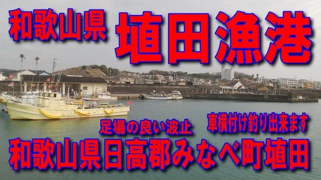 #180和歌山県埴田漁港投げサビキ釣り南紀白浜IC紀勢自動車道無料区間国道42号上富田IC南紀田辺IC無料区間はここまでイカ墨跡多数足場の良い波止釣り場が広いファミリー家族連れサビキ釣り良車横付け釣り