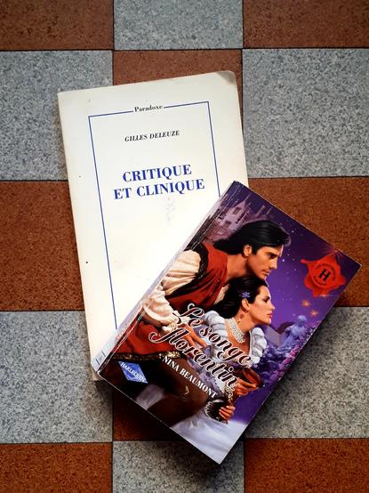 2 livres sur un carrelage orange et gris : Gilles Deleuze, Critique et clinique aux éditions de Minuit et Nina Beaumont, Le songe florentin aux éditions harlequin. La couverture du 1er est très sobre, celle du second est une illustration très kitsch colorée en violet, rouge et blanc.