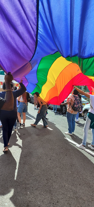 picture from beneath the large pride flag which is being held horizontally, right as the wind lifts it up