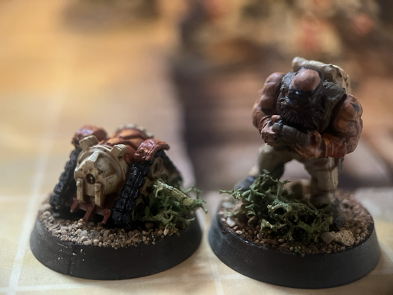 A dwarf mini with a remote control and the tracked drone he is controlling.