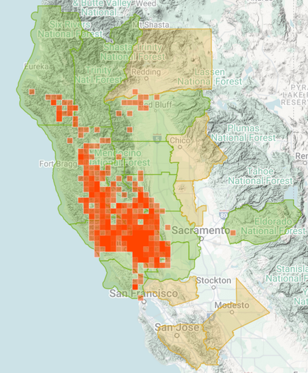 A map of the distribution of this species taken from iNaturalist. The species is concentrated somewhat inland in Marin, Sonoma, and Mendocino Counties. It also occurs in Napa County, Southeast Humboldt County, Southern Lake County, Western Solano, Yolo, and Colusa Counties. There is a disjunct population in Northern Tehama County, and a single documented occurence in Eldorado County.