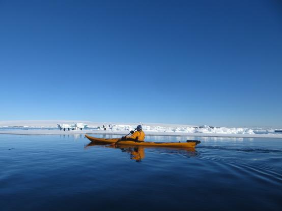 “For whatever we lose (like a you or a me),
It's always our self we find in the sea.”
― E.E. Cummings