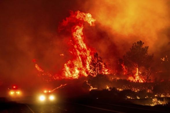 Apocolytic fire storms in the forests
